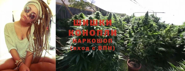 ешки Дмитровск